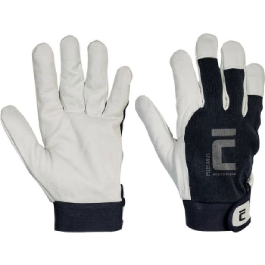 CERVA PELECANUS KECSKEBŐR KESZTYŰ termék fő termékképe